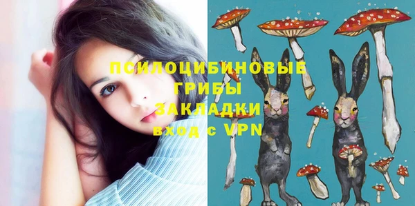 jwh Алзамай