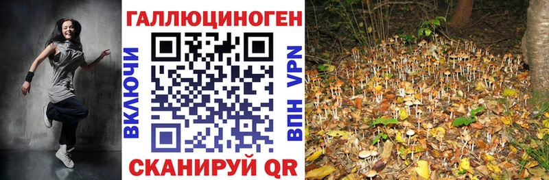 Галлюциногенные грибы мухоморы хочу наркоту Осташков